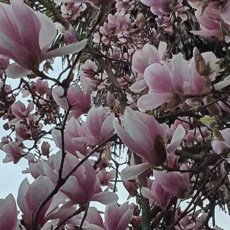 La Coperta Ricamata 3* Siena