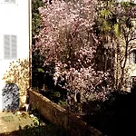 La Coperta Ricamata Bed & Breakfast