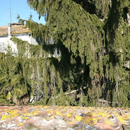 Готель типу 